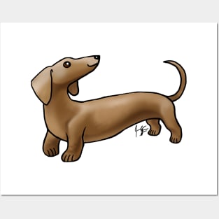 Dog - Smooth Haired Dachshund - Brown Posters and Art